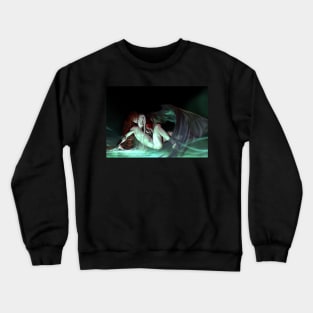 Return Crewneck Sweatshirt